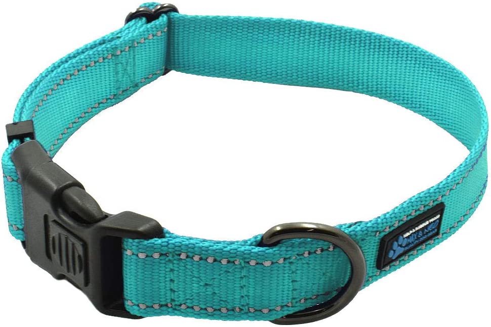 Max and Neo™ NEO Nylon Buckle Reflective Dog Collar