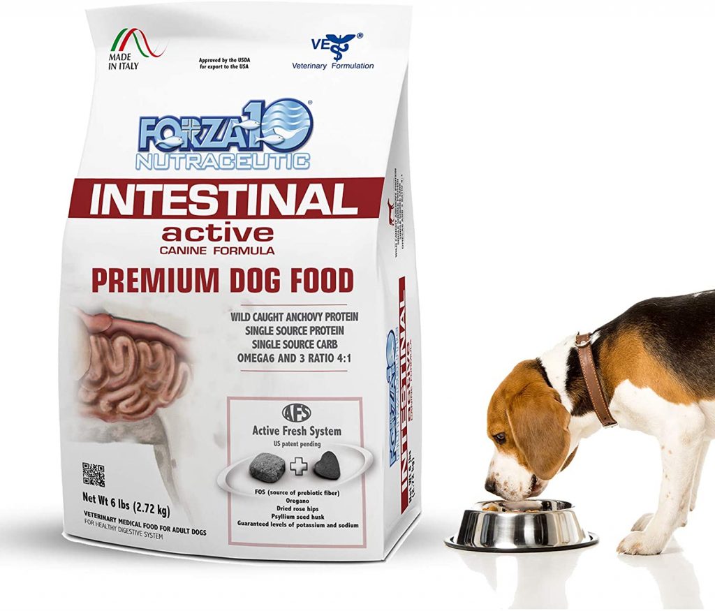 Forza10 Active Intestinal Dry Dog Food