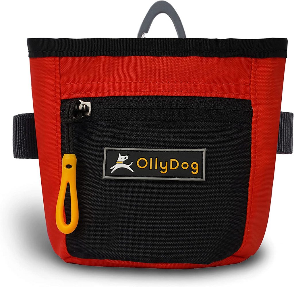 OllyDog Goodie Treat Bag