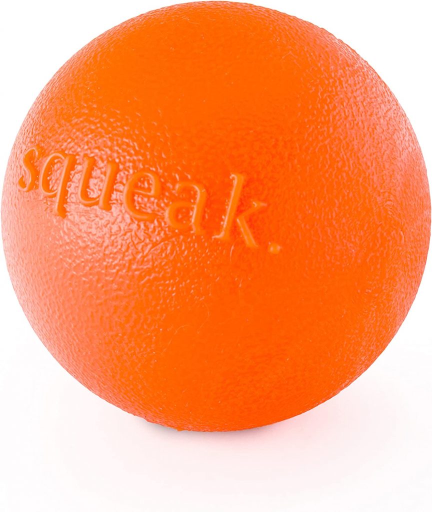 Planet Dog Orbee-Tuff Squeak Ball