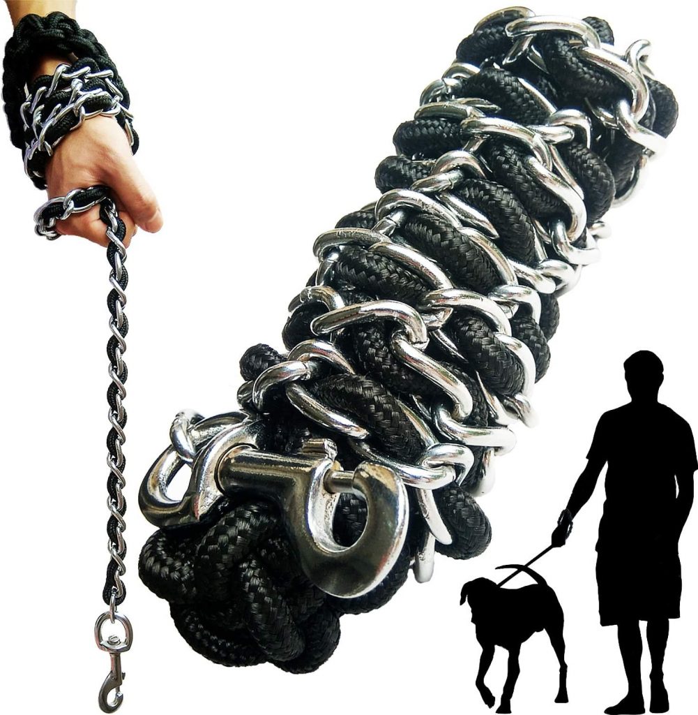 AncBace Metal Dog Leash