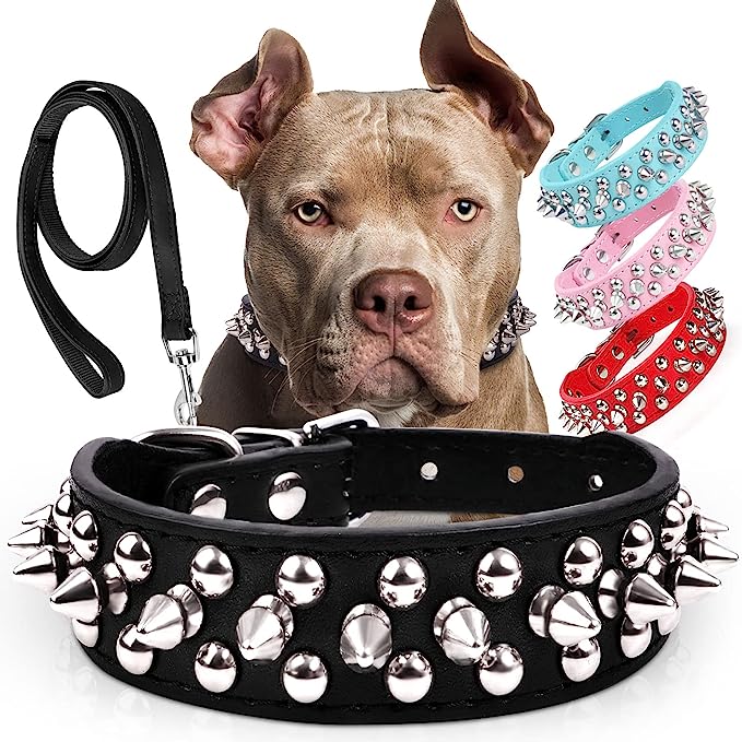 Fashionable spike dog collar and leash set