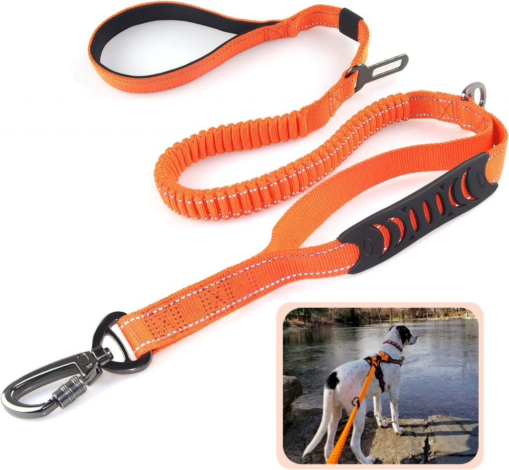 Fashion&cool Large Dog Leash