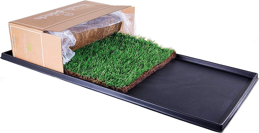 Fresh Patch XL Bundle Real Indoor Grass for Dogs with Tray