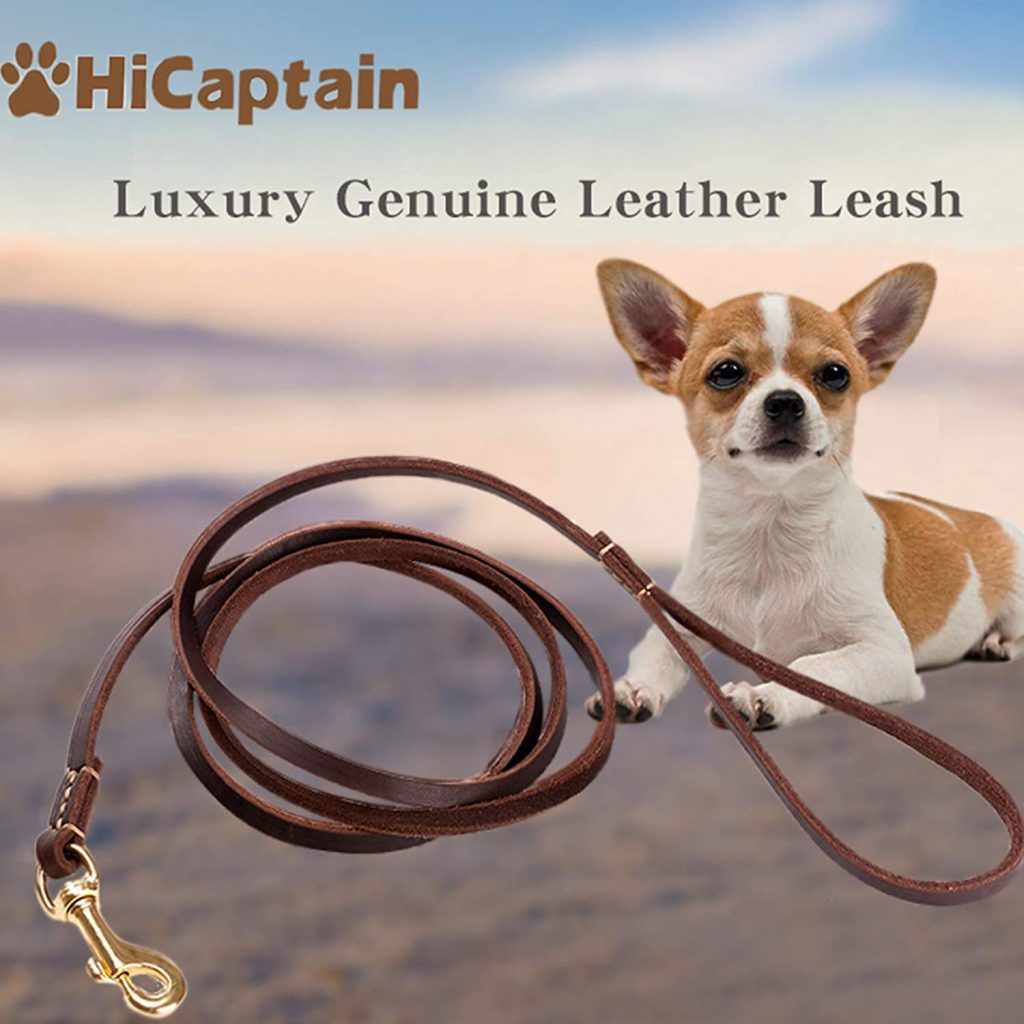 HiCaptain Leather Dog Leash