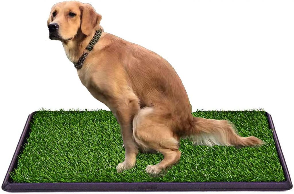 LOMANTOWN Indoor Grass for Dogs with Tray