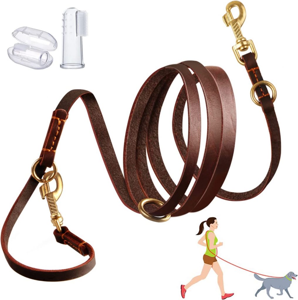 LWBMG Leather Dog Leash