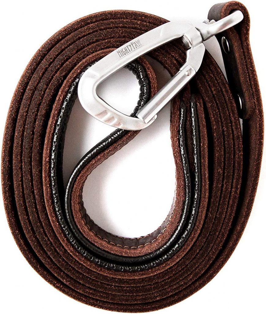 Mighty Paw Leather Dog Leash