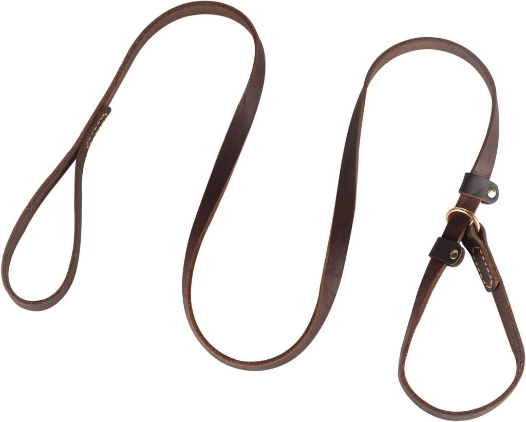 MoSANY Leather Slip Lead Leash