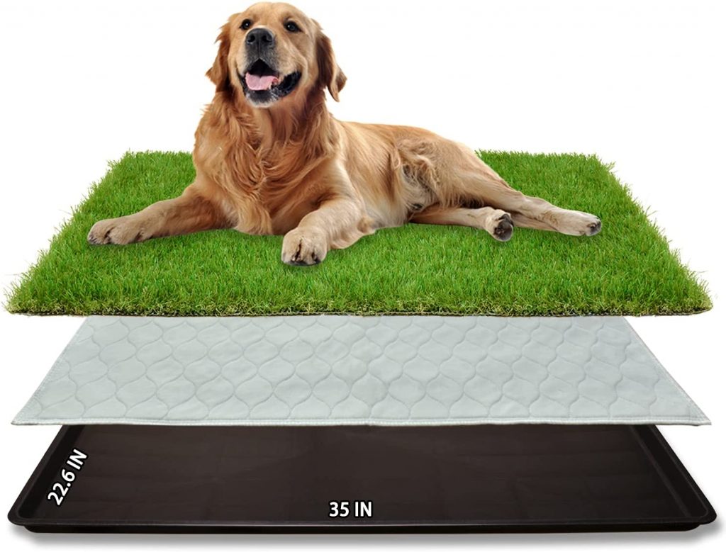 PICK FOR LIFE Indoor Grass for Dogs with Tray