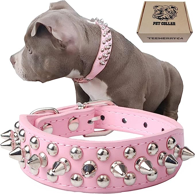 Cute pink spike collar with a gift for your pup