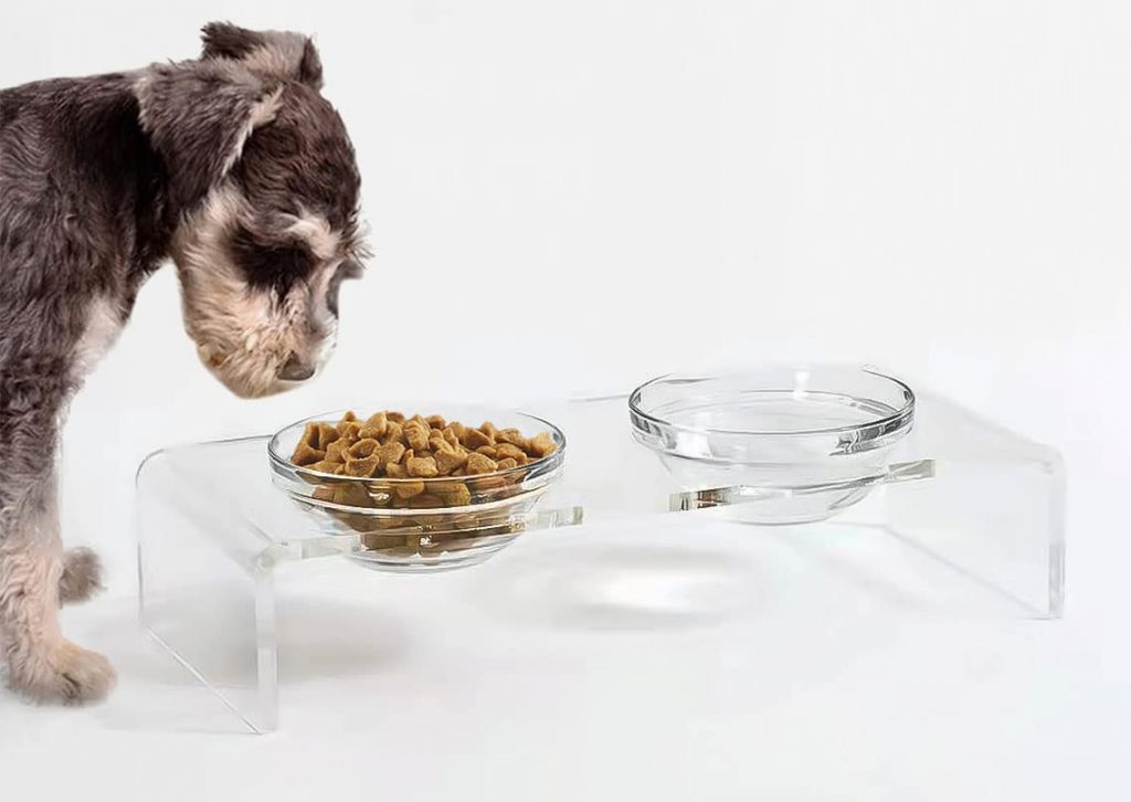 Elevated Double Glass Bowl Feeding Stand