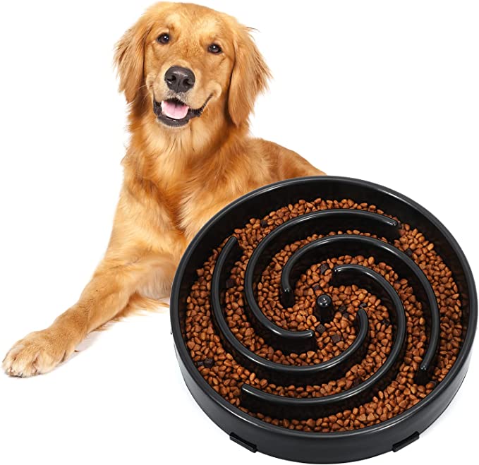 Whippy Large Dog Bowl