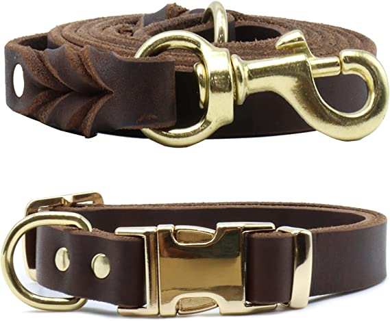 Kilisteels Leather Dog Leash and Collar Set