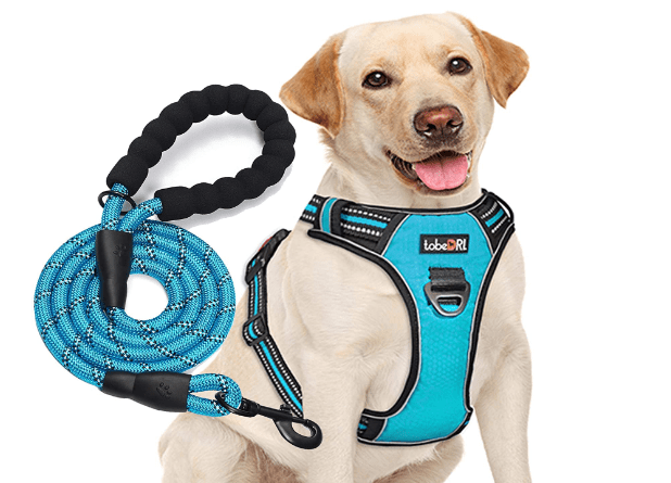 tobeDRI No Pull Dog Harness with Leash for Medium Large Dogs