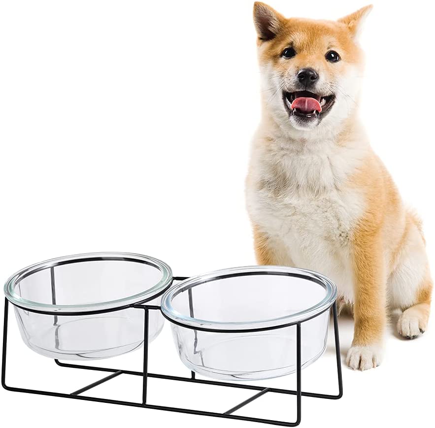 Elevated Metal Stand with Double Raised Glass Bowls