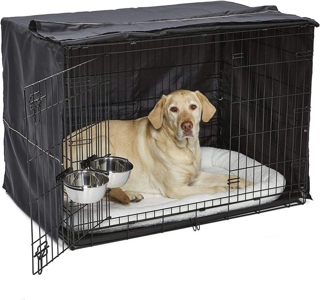 MidWest Homes for Pets iCrate Dog Crate Starter Kit