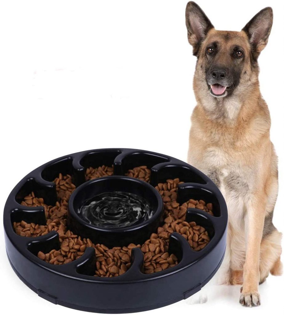 JASGOOD Slow Feed, Anti-Gulping Plastic Dog Bowl