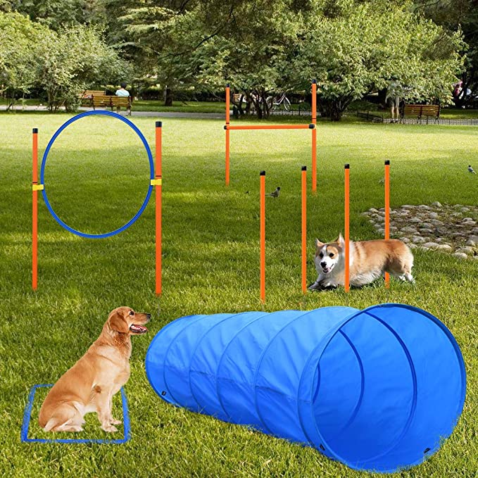 XiaZ Dog Agility Equipment Dog Outdoor Toys