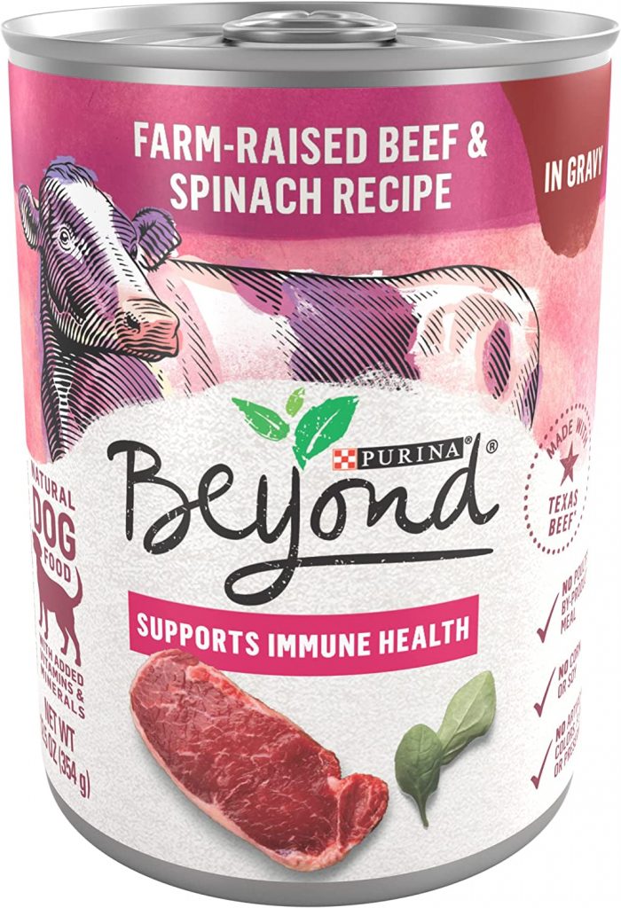 Purina Beyond Wet Dog Food