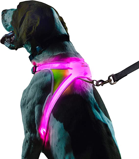 Noxgear LightHound Reflective Dog Harness