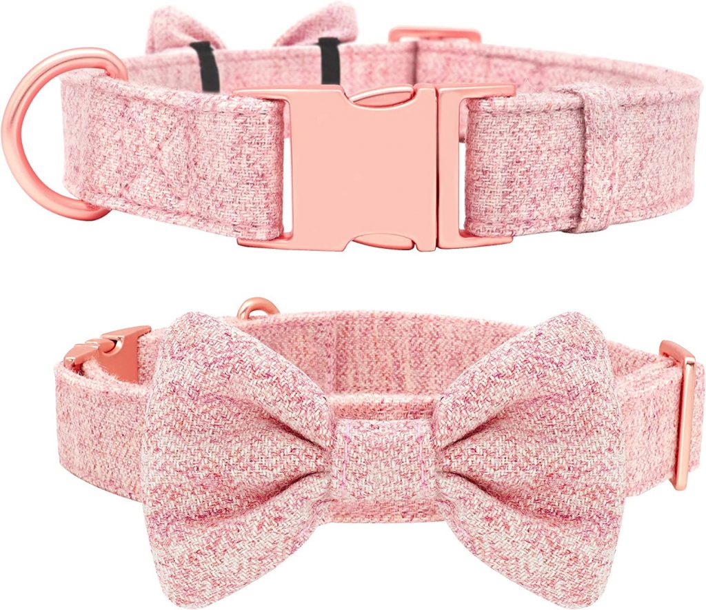 Pet Artist Bow Tie Dog Collar