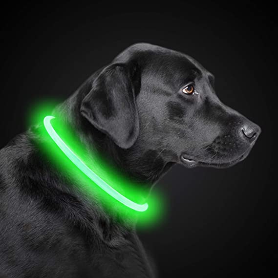 PetIsay Light Up Silicone Dog Collar