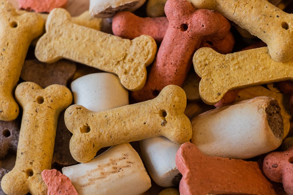 main image for the 5 best dog biscuits to reward your best friend