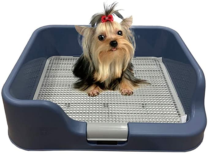 Indoor Dog Potty Tray With Walls