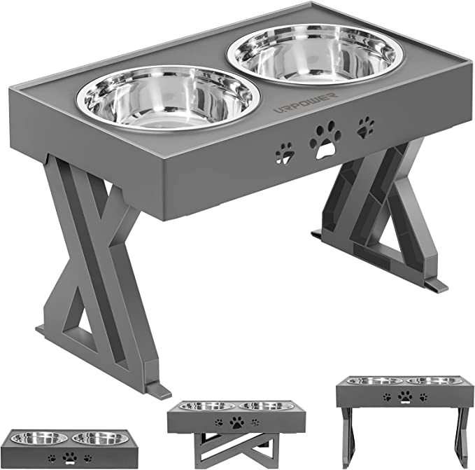 Elevated Dog Bowl Combo Set