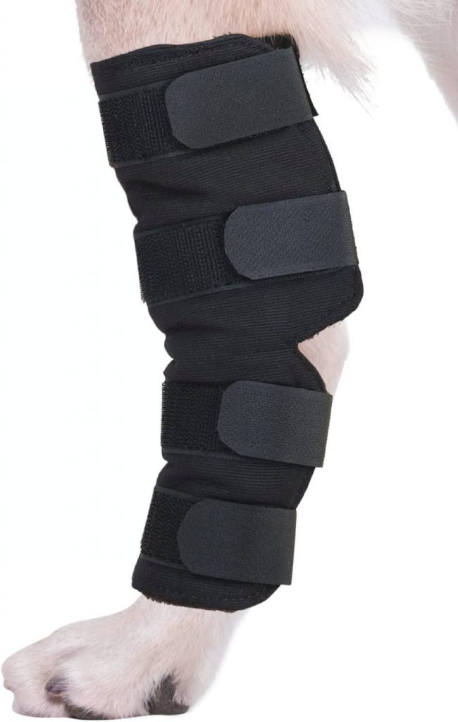 AGON Hock Brace Joint Wrap for Dogs