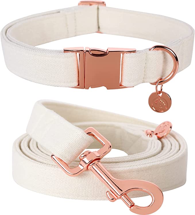 Convenient Leash/Collar Combo Pack