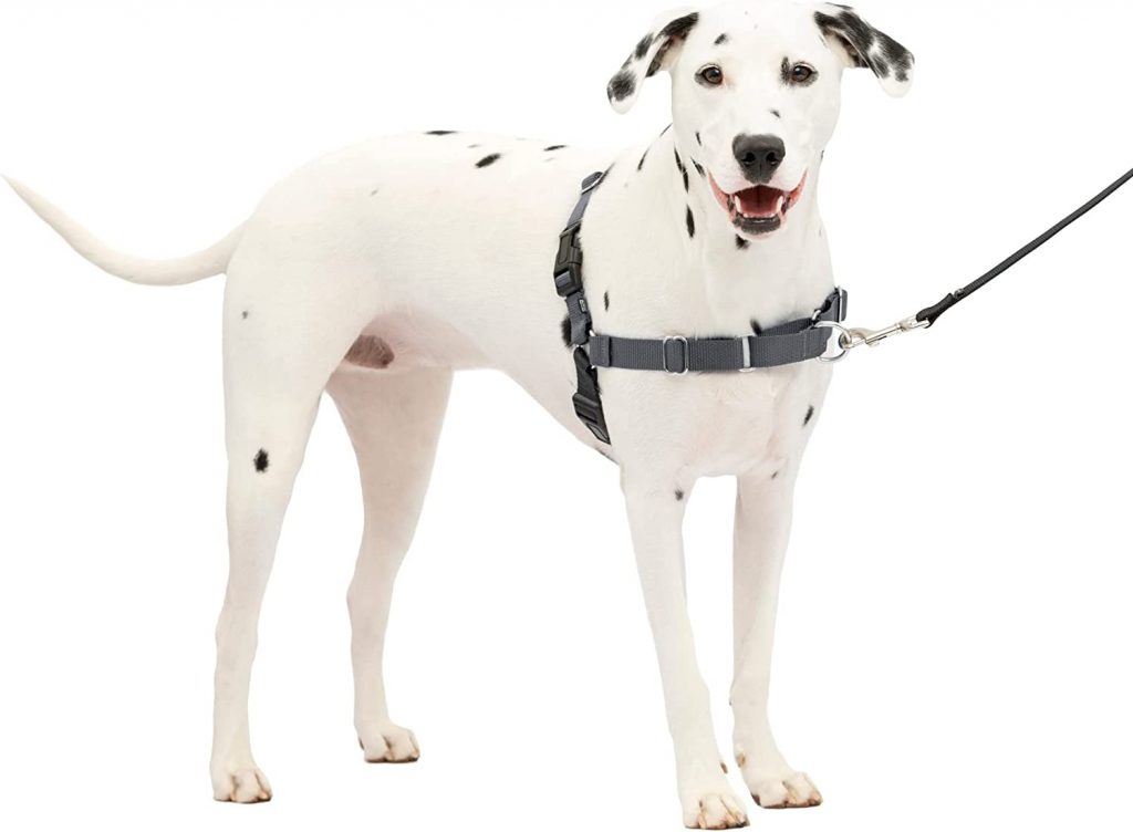 PetSafe Easy Walk No-Pull Dog Harness