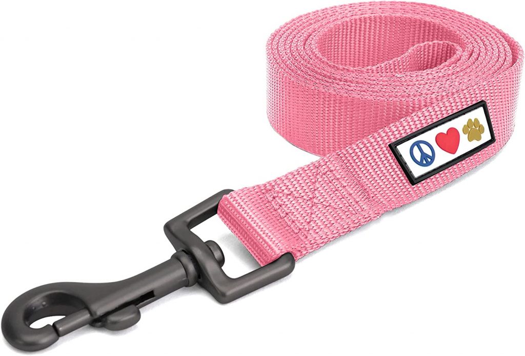 Pawtitas Cute Dog Leash