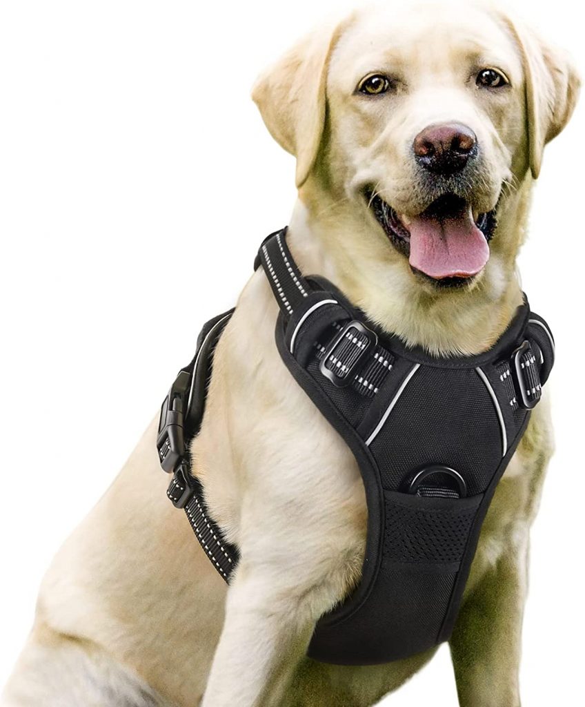 Rabbitgoo No-Pull Dog Harness