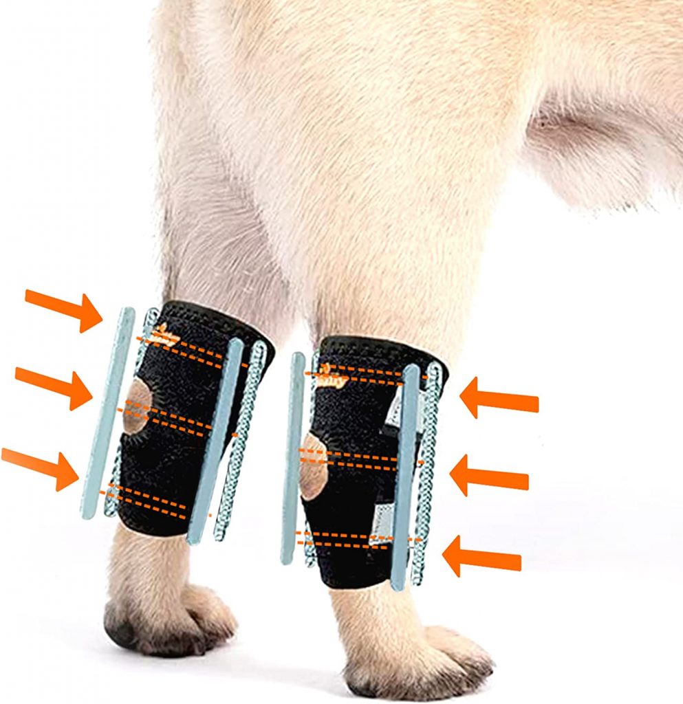 NeoAlly Short Rear Leg Hock Brace Set