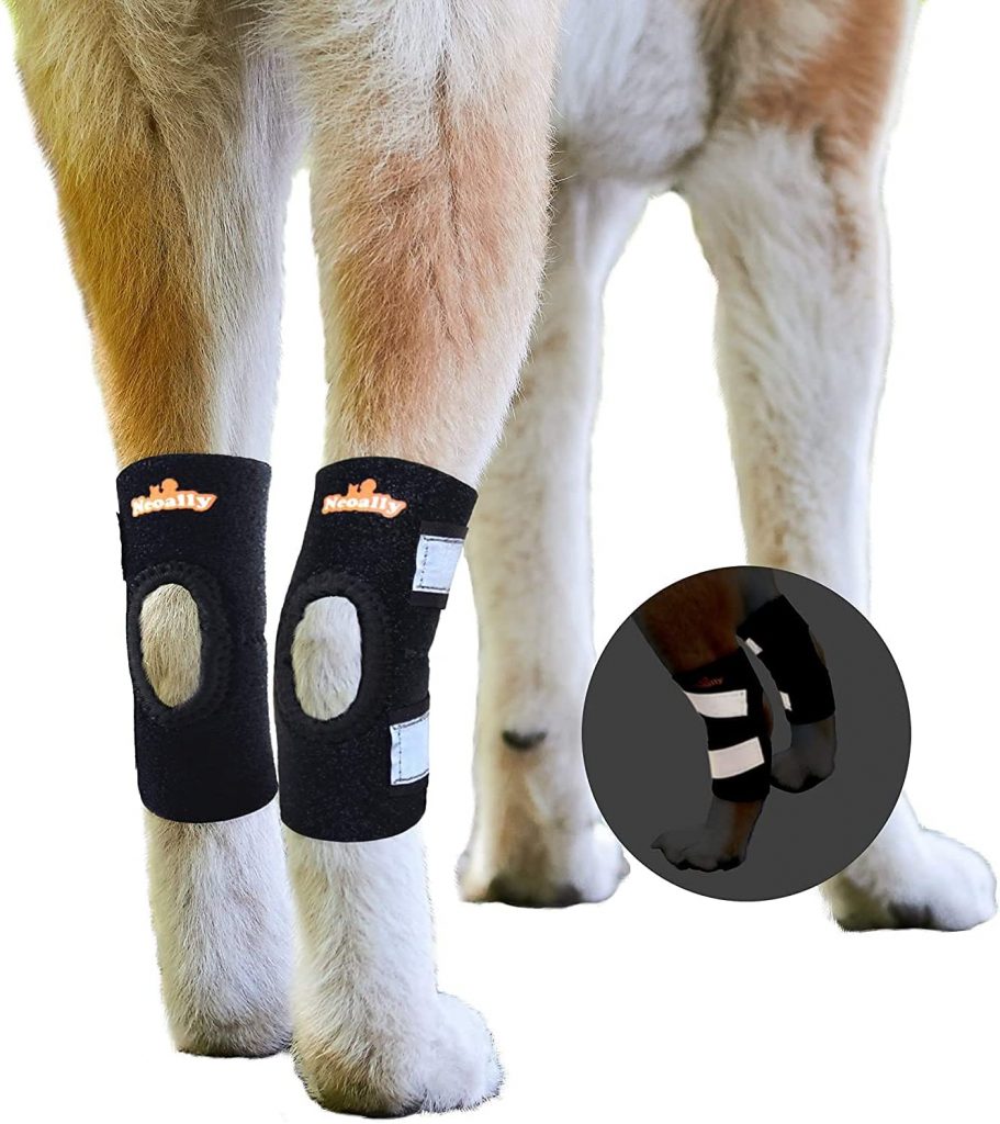 NeoAlly Hock Brace Set for Dogs