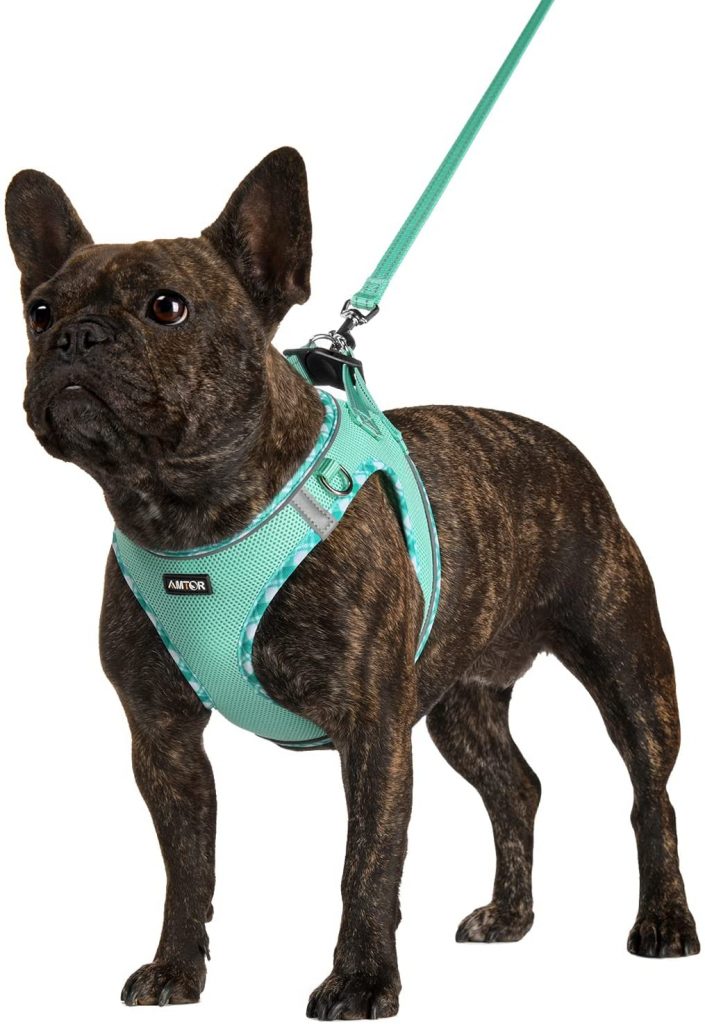 Amtor Dog Harness with Leash Set