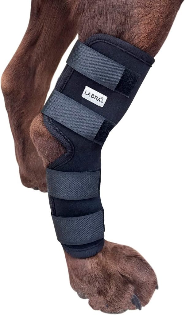 Labra Dog Extra Supportive Hock Brace for Dogs