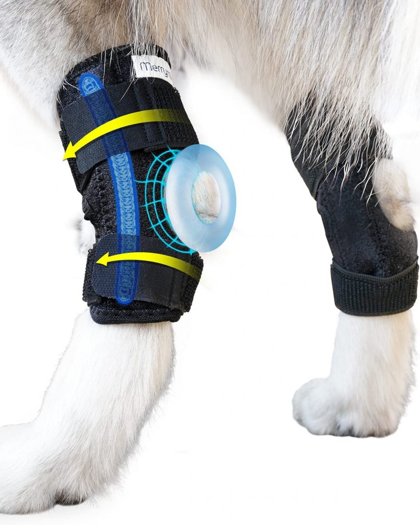 MerryMilo Compression Hock Brace for Dogs