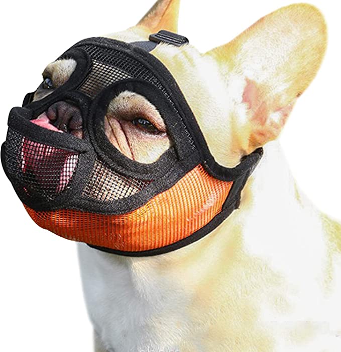 Tandd Short Snout Dog Muzzle