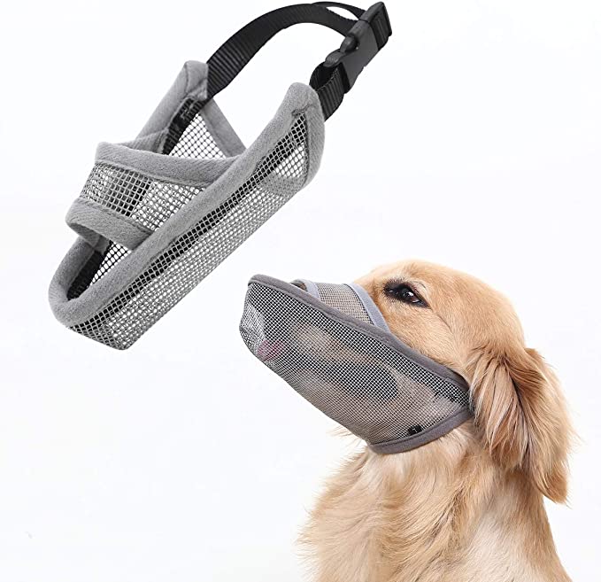 Crazy Felix Nylon Dog Muzzle