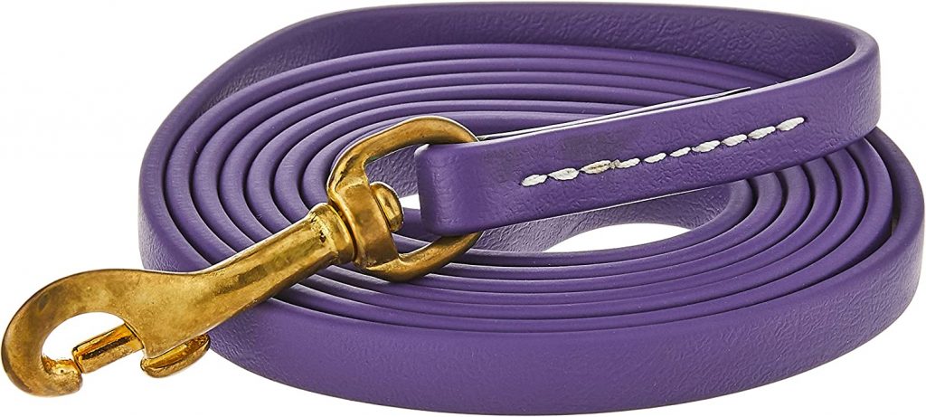 J&J Dog Products Cute Dog Leash