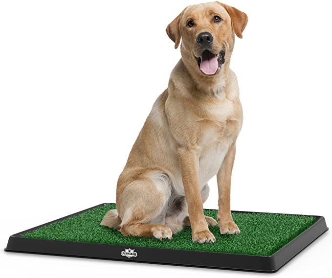 Affordable Puppy Pee Pad