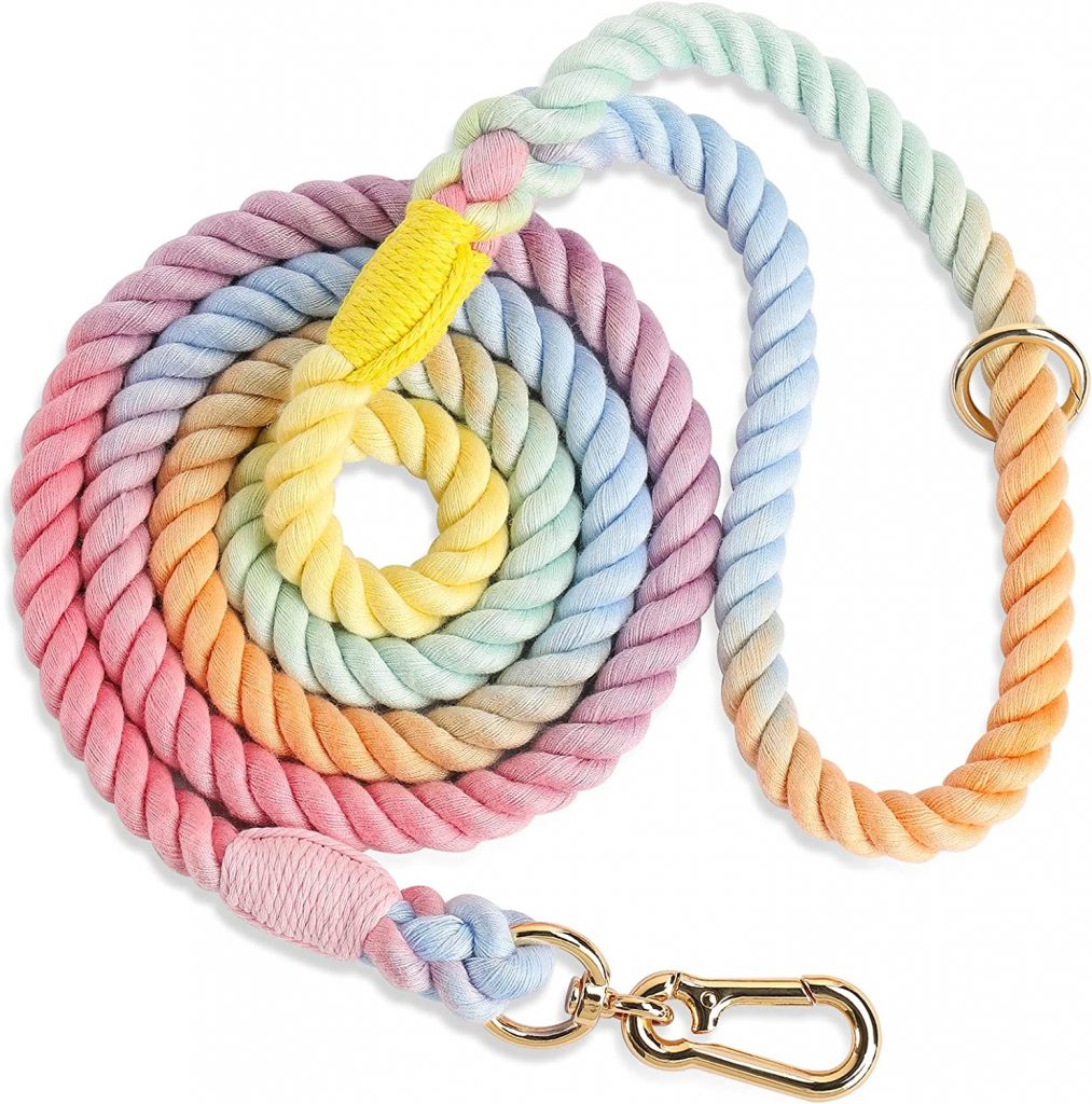 Nugutic Cute Dog Leash