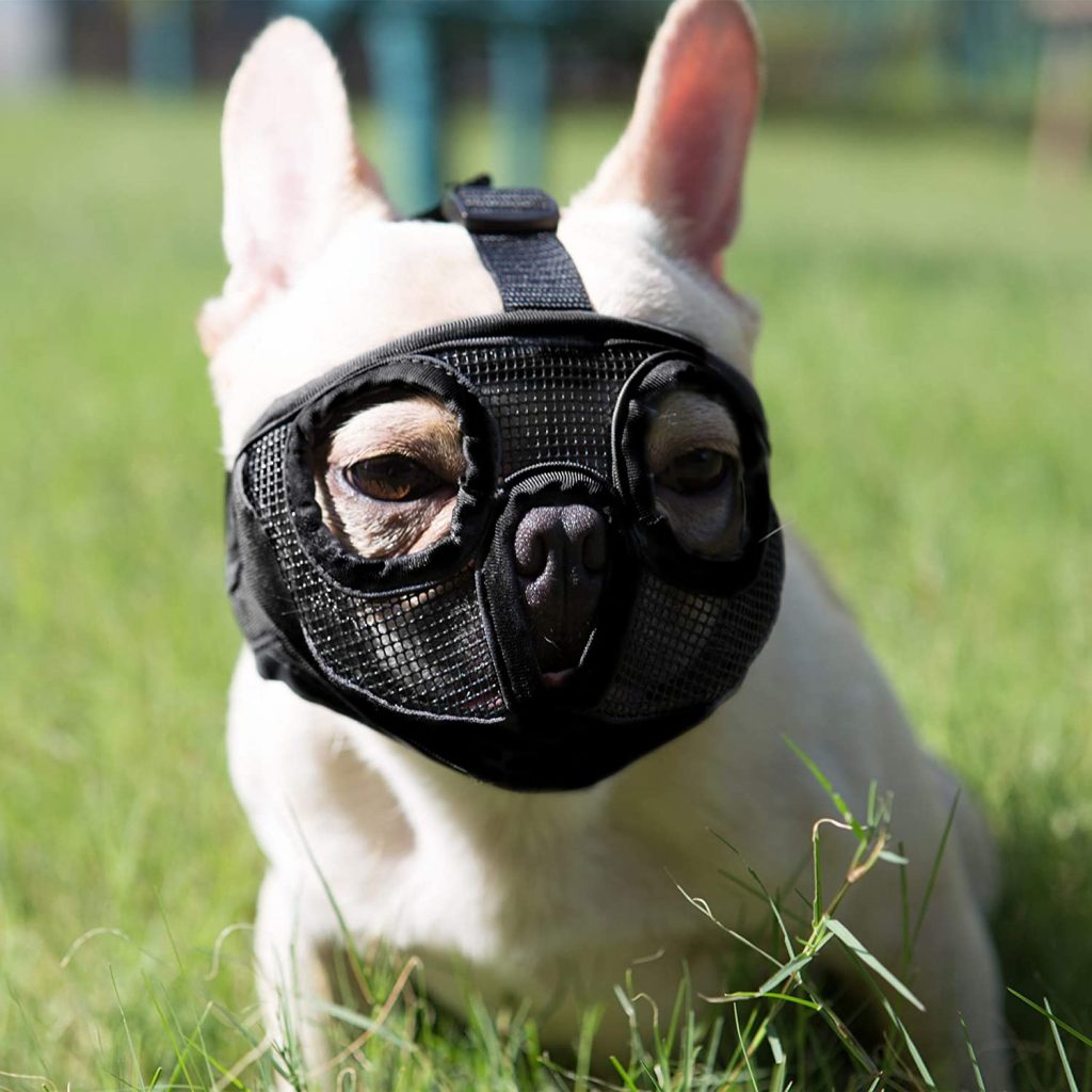 JYHY Muzzle For Small Dogs