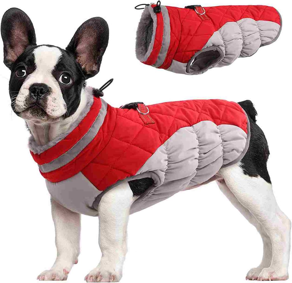 FUAMEY Warm Padded Dog Jacket Harness