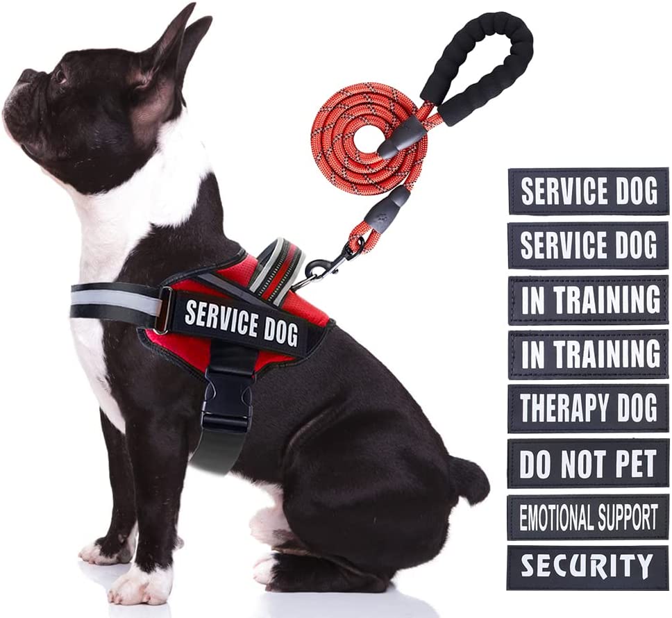 Animire Service Dog Vest Harness and Leash