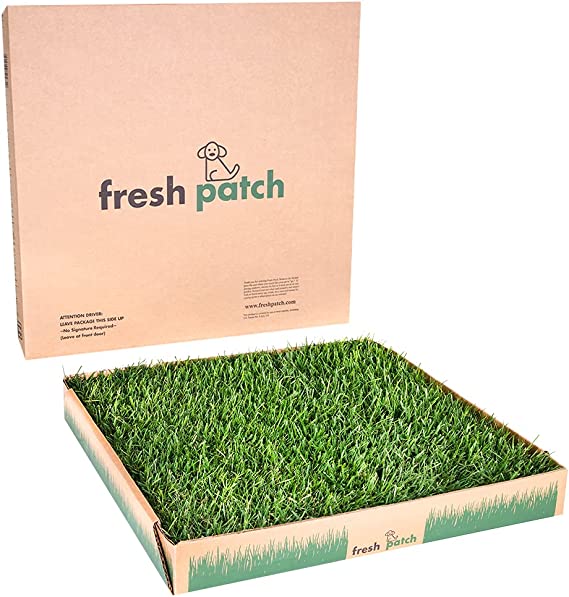 Fresh Patch Large Real Grass Pee Potty Training Pad