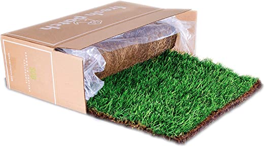 Fresh Patch XL Real Grass Pee and Potty Training Pad